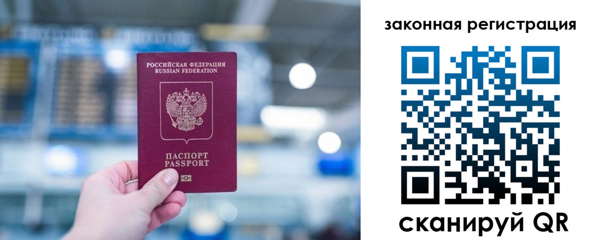 прописка поиск в Чайковском